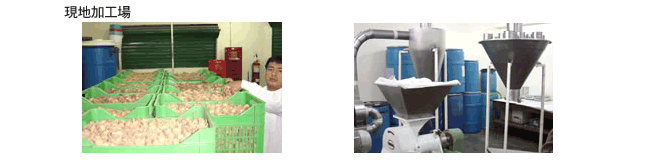 現地加工工場