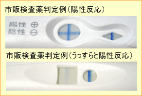 妊娠検査薬の判定例