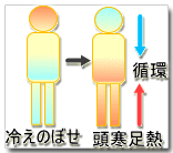 身体の上と下で温度差がある状態
