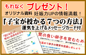 オリジナル資料、妊娠力UPの情報満載テキスト