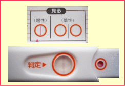 確実なタイミングには排卵日検査薬を